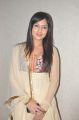 Actress Nikesha Patel @ VGN Navaratri Festival Press Meet Stills