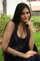 Actress Vibha Natarajan Spicy Hot Blue Saree Photos