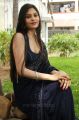 Actress Vibha Natarajan Spicy Hot Blue Saree Stills