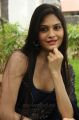 Actress Vibha Natarajan Hot Photos in Dark Blue Saree