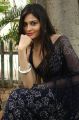 Tamil Actress Vibha Natarajan Hot Photos in Dark Blue Saree