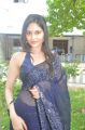 Tamil Actress Vibha Natarajan Hot Photos in Blue Saree