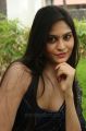 Actress Vibha Natarajan Saree Hot Photos