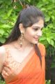 Actress Vibha Natarajan Hot Pics in Orange Saree