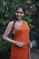 Vibha Natarajan in Orange Saree Hot Photos
