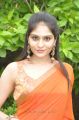Vibha Natarajan Hot Pics in Orange Saree