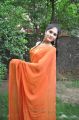 Vibha Natarajan Hot Photos in Orange Saree