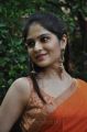Actress Vibha Natarajan Hot Pics in Orange Saree