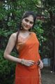 Vibha Natarajan Hot Photos in Orange Saree