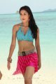 Devaraya Vidisha Hot in Beach Stills