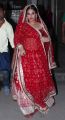 Vidya Balan Hot Pictures in Red Color Traditional Wear
