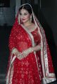 Vidya Balan Hot Pictures in Red Color Traditional Wear