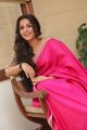 Actress Vidya Balan in Pink Saree Stills