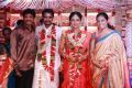 M.Raja @ Director Vijay Amala Paul Marriage Photos