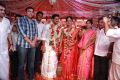 Vijay Amala Paul Marriage Photos