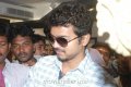 Actor Vijay at Hi Style Showroom