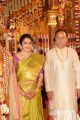 Vijay Karan Aashna Wedding Photos