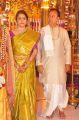 Vijay Karan Aashna Wedding Photos