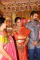 Vijay Karan Aashna Wedding Photos