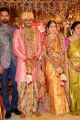 Vijay Karan Aashna Wedding Photos