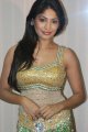 Vijayalakshmi Hot Stills in BIG Salute to Tamil Women Entertainers Awards