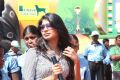 Actress Vijayalakshmi Latest Stills at Kalakkal Kabaddi