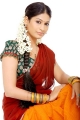 Vijayalakshmi in Saree Photo Shoot Stills Gallery