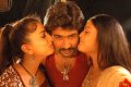 Vijayanagaram Movie Hot Stills