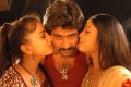 Vijayanagaram Movie Hot Stills