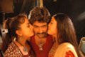 Vijayanagaram Movie Hot Stills