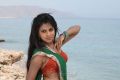 Actress Amala Paul in Vikram Dhada Movie Stills