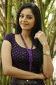 Tamil Actress Sanam Shetty @ Vilasam Movie Press Meet Stills