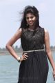 Actress Shravya in Vilayattu Aarambam Movie Stills