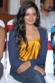Actress Vimala Raman Photos at CACA Movie Press Meet