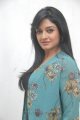 Vimala Raman Cute Photo Shoot Stills