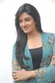 Vimala Raman Cute Photo Shoot Stills