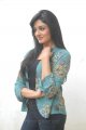 Vimala Raman Cute Photo Shoot Stills