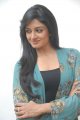 Vimala Raman Cute Photo Shoot Stills