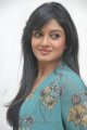 Vimala Raman Cute Photo Shoot Stills