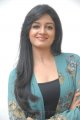 Vimala Raman Cute Photo Shoot Stills