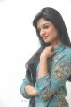 Vimala Raman Cute Photo Shoot Stills