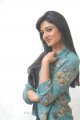 Vimala Raman Cute Photo Shoot Stills