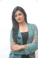 Vimala Raman Cute Photo Shoot Stills