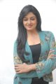 Vimala Raman Cute Photo Shoot Stills