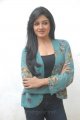 Vimala Raman Cute Photo Shoot Stills