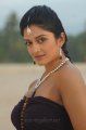 Vimala Raman Hot Stills in Maharani  Movie