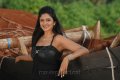 Maharani Vimala Raman Hot Stills