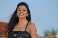 Maharani Vimala Raman Hot Stills