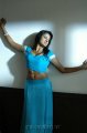 Vimala Raman Hot Saree Stills