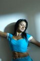 Vimala Raman Hot Saree Stills